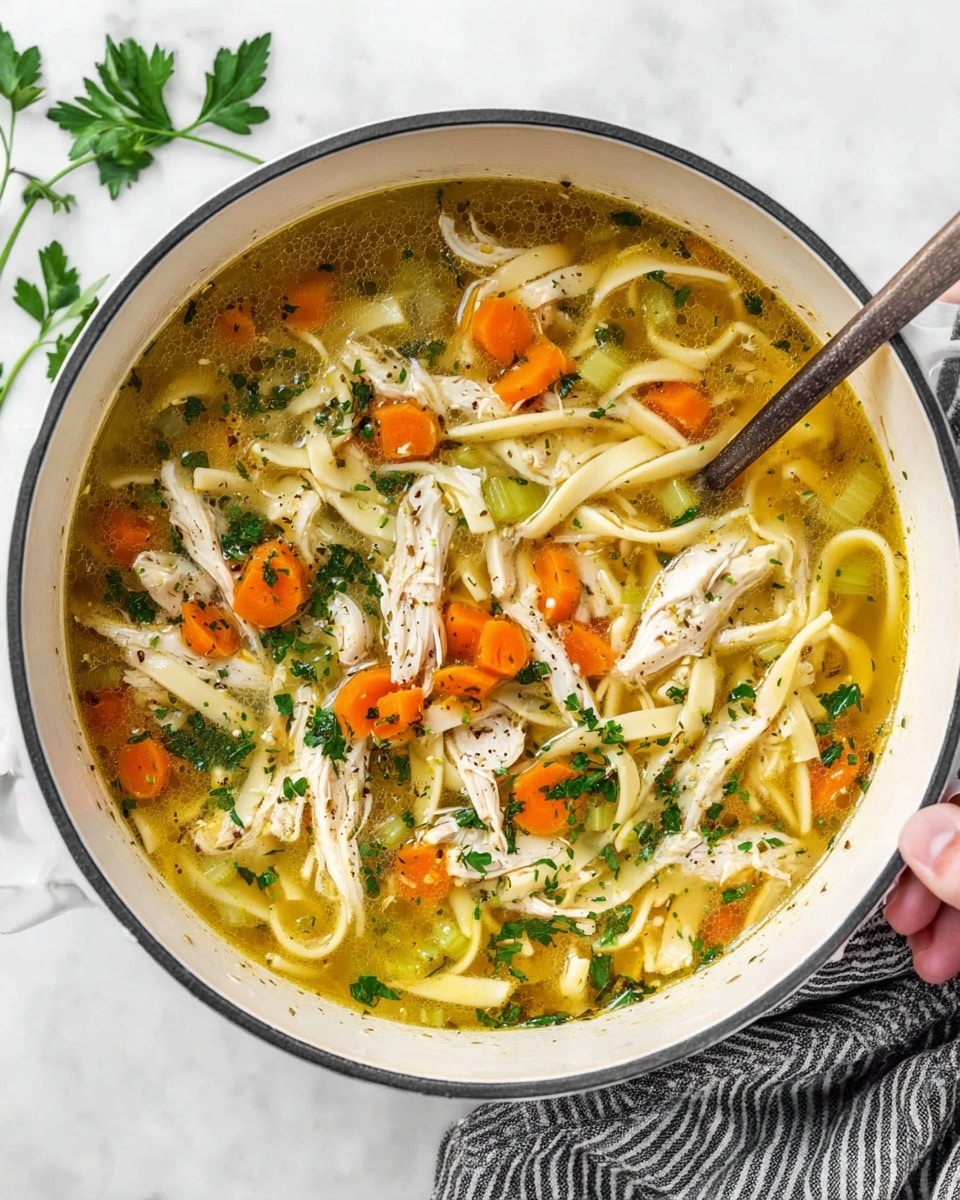 Healthy Chicken Noodle Soup Recipe - Serving Suggestion